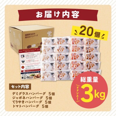 【7営業日以内】Best4バーグ ハンバーグ 20個セット(合挽4種 各5個)