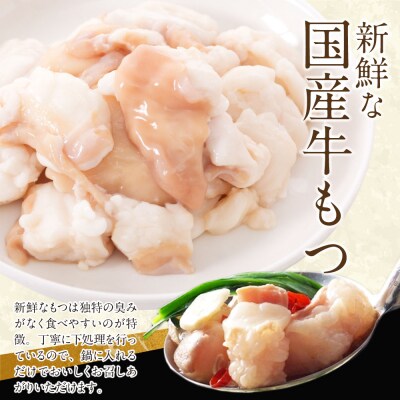 博多特選もつ鍋(4～5人前)(2パック小分け)(醤油味)