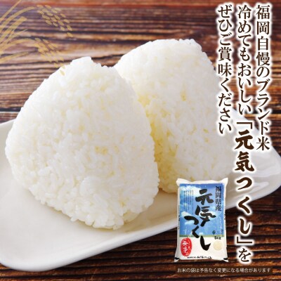 令和7年産 無洗米 元気つくし2kg