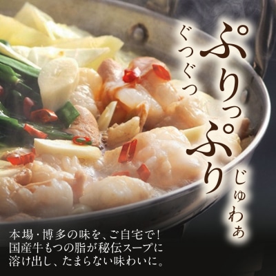 博多特選もつ鍋(2.5人前・醤油味)と辛子明太子450g(特選切子3パック分) 