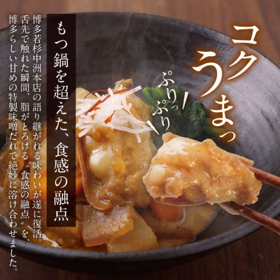 もつ煮込み(205g)×8