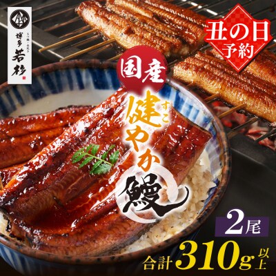 【丑の日7/26までにお届け】健やか鰻 国産うなぎ蒲焼(無頭)2尾(計310g以上) 丑の日予約