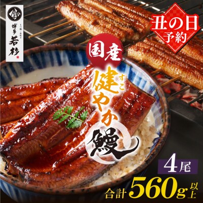 【丑の日7/26までにお届け】健やか鰻 国産うなぎ蒲焼(無頭)4尾(計560g以上) 丑の日予約