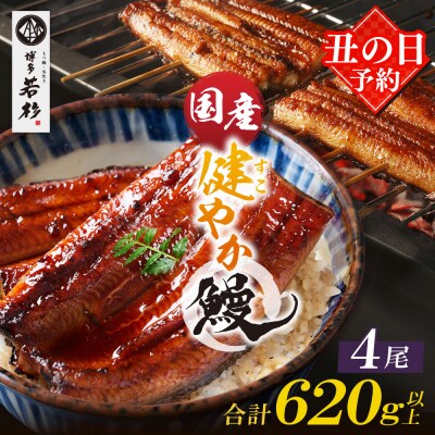 【丑の日7/26までにお届け】健やか鰻 国産うなぎ蒲焼(無頭)4尾(計620g以上) 丑の日予約