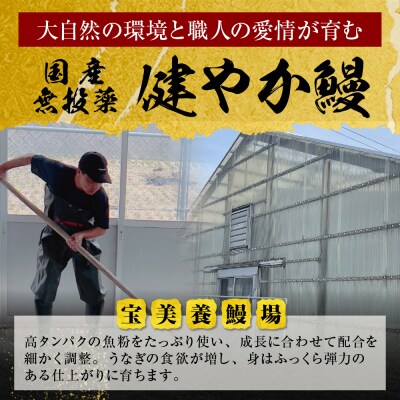 【丑の日7/26までにお届け】健やか鰻 国産うなぎ蒲焼(無頭)4尾(計620g以上) 丑の日予約