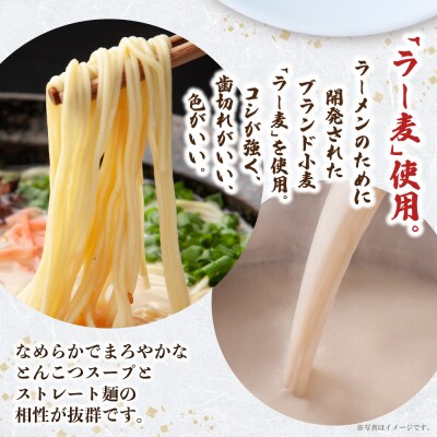 一風堂 とんこつラーメン 白丸 8食