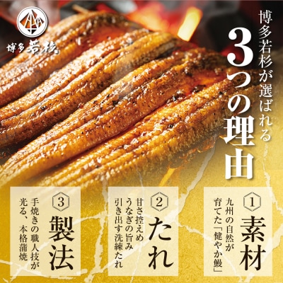 健やか鰻 国産うなぎ蒲焼(無頭)6尾(計840g以上)
