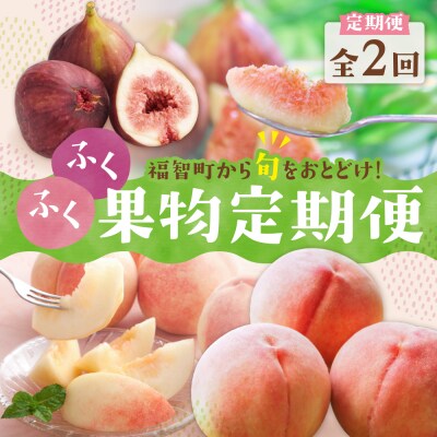 【2026年発送】★先行予約受付中★ ふくふく果実定期便(隔月・年2回)