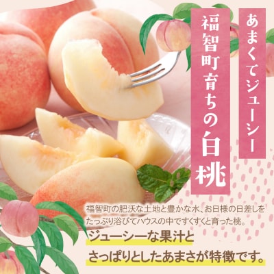 【2026年発送】★先行予約受付中★ ふくふく果実定期便(隔月・年2回)