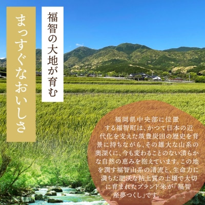 福智町産ブランド米(夢つくし5kg)