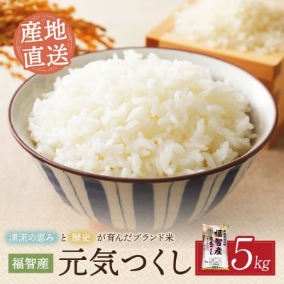 福智町産ブランド米(元気つくし5kg)