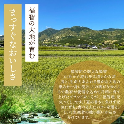 福智町産ブランド米(元気つくし5kg)