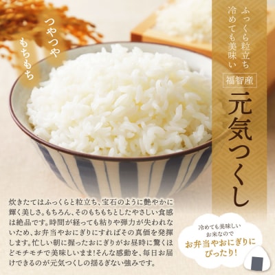 福智町産ブランド米(元気つくし5kg)
