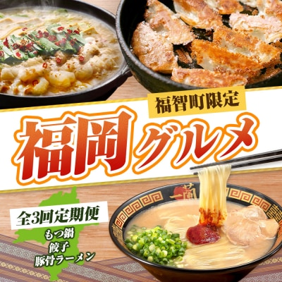 福岡グルメ定期便 餃子セット(毎月・全3回)