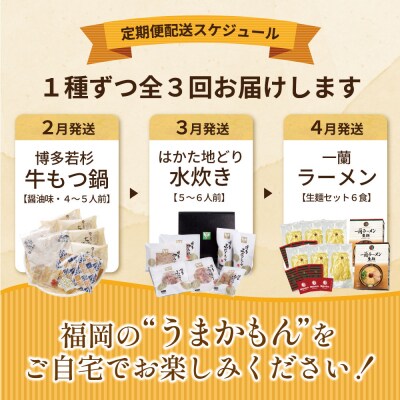 福岡グルメ定期便 水炊きセット(毎月・全3回)