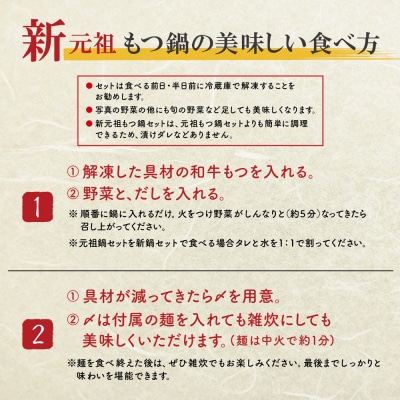 平壌屋 新元祖味噌もつ鍋セット ちゃんぽん(野菜無) 追加たれ付き