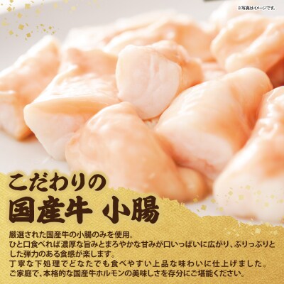 平壌屋 ひとり味噌もつ鍋 3人前×1個セット