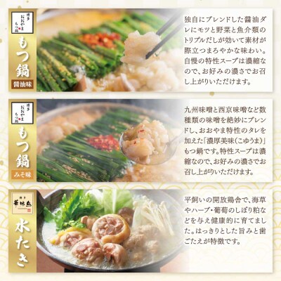 本場博多の味水炊き・もつ鍋食べ比べ定期便【隔月定期便(年3回発送)】