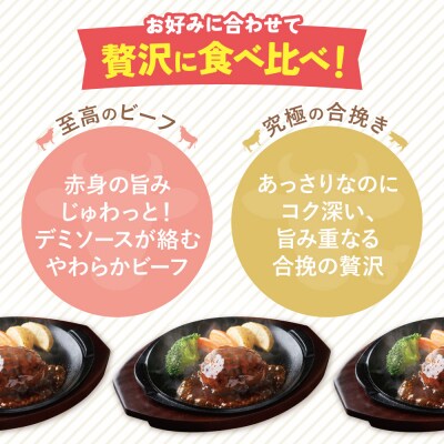 【4回定期便】どっちのハンバーグ(デミグラスソース)20個【ビーフ・合挽 各10個】