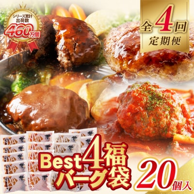 【4回定期便】Best4バーグ(デミグラスソース)20個【合挽4種・各5個】