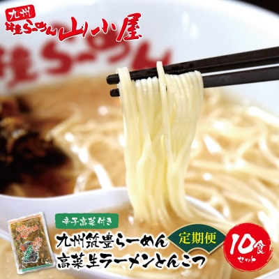 筑豊豚骨ラーメン 高菜生ラーメンとんこつ10食セット定期便(隔月・年6回)