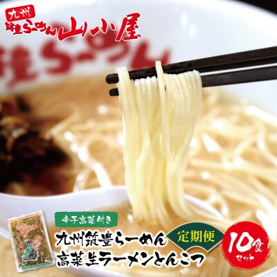 筑豊豚骨ラーメン 高菜生ラーメンとんこつ10食セット定期便(隔月・年6回)