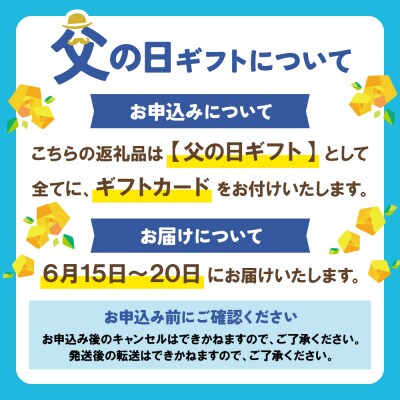 【父の日】博多とんこつラーメン16杯分と替え玉16玉の計32食分
