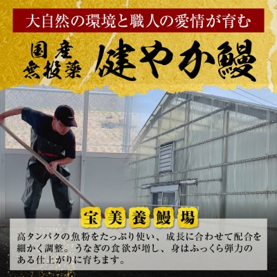 【父の日】健やか鰻 国産うなぎ蒲焼(無頭)4尾(計620g以上)
