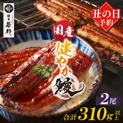 【丑の日7/26までにお届け】健やか鰻 国産うなぎ蒲焼(無頭)2尾(計310g以上) 丑の日予約