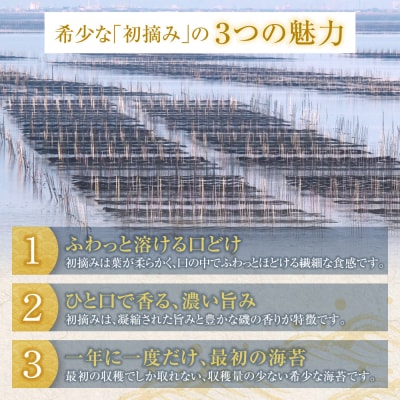 福岡有明のり 初摘み有明美人詰合せ(9袋)