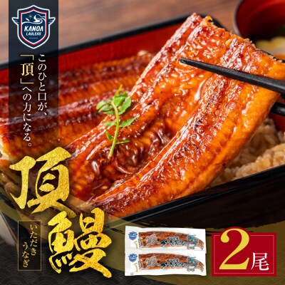 頂鰻 福岡県産うなぎの蒲焼 2尾セット
