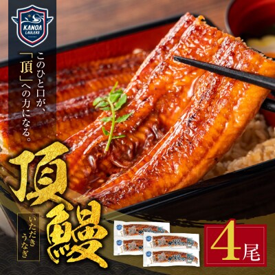 頂鰻 福岡県産うなぎの蒲焼 4尾セット