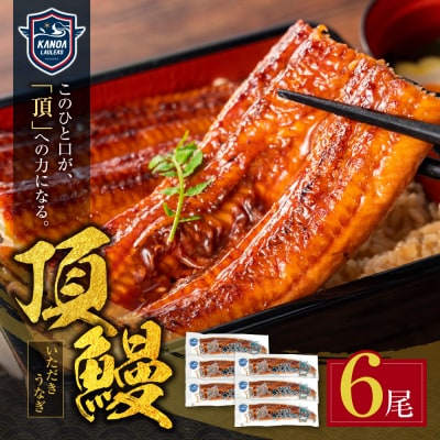 頂鰻 福岡県産うなぎの蒲焼 6尾セット