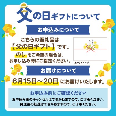 【父の日】天郷醸造所  在る宵 寒夜(レモン) 500ml 