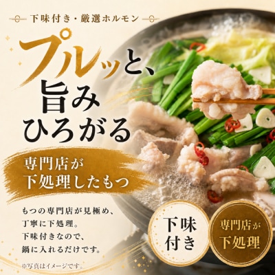 定期便 博多味噌もつ鍋 【訳あり】セット2人前(年2回)