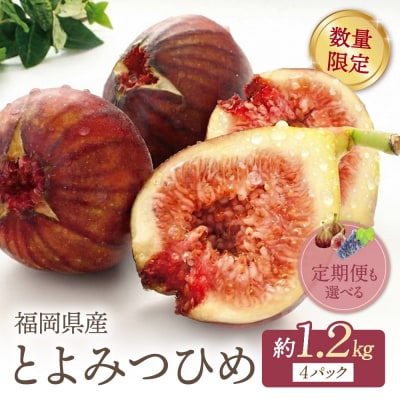 ふくふく果実定期便(いちじく・ぶどう)(年2回)