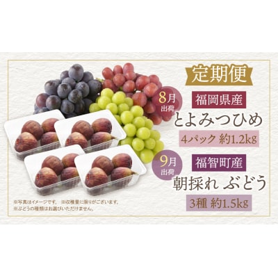 ふくふく果実定期便(いちじく・ぶどう)(年2回)