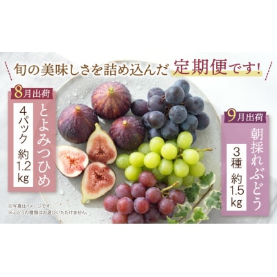 ふくふく果実定期便(いちじく・ぶどう)(年2回)