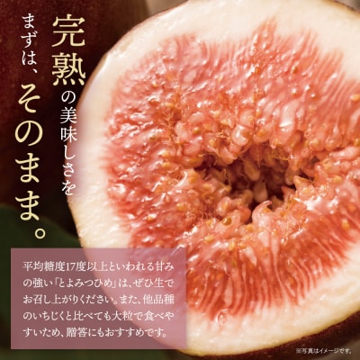 ふくふく果実定期便(いちじく・ぶどう)(年2回)