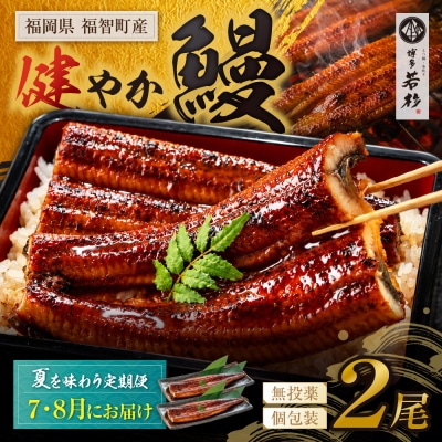 健やか鰻 国産うなぎ蒲焼 (無頭) 2尾 (計310g以上) ★定期便・夏発送★
