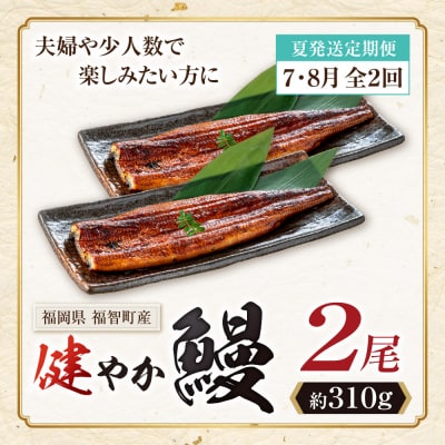 健やか鰻 国産うなぎ蒲焼 (無頭) 2尾 (計310g以上) ★定期便・夏発送★