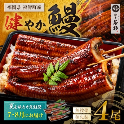 健やか鰻 国産うなぎ蒲焼 (無頭) 4尾 (計620g以上) ★定期便・夏発送★