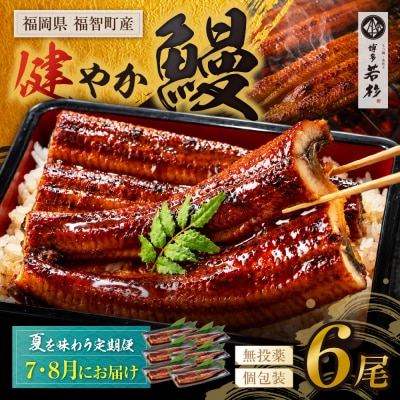 健やか鰻 国産うなぎ蒲焼 (無頭) 6尾 (計930g以上) ★定期便・夏発送★
