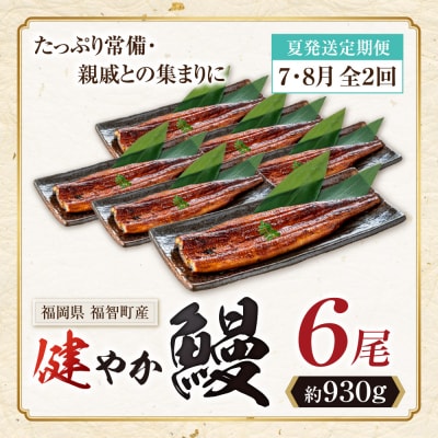 健やか鰻 国産うなぎ蒲焼 (無頭) 6尾 (計930g以上) ★定期便・夏発送★