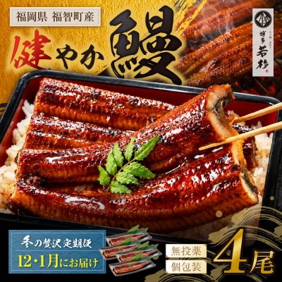 健やか鰻 国産うなぎ蒲焼 (無頭) 4尾 (計620g以上) ★定期便・冬発送★