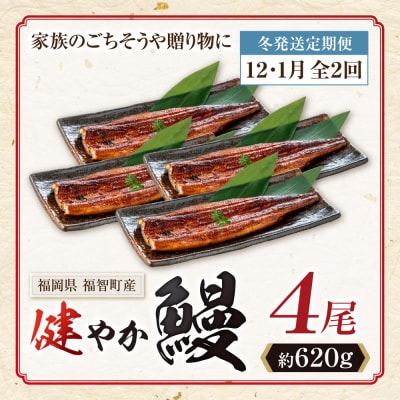 健やか鰻 国産うなぎ蒲焼 (無頭) 4尾 (計620g以上) ★定期便・冬発送★