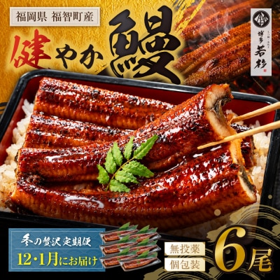 健やか鰻 国産うなぎ蒲焼 (無頭) 6尾 (計930g以上) ★定期便・冬発送★