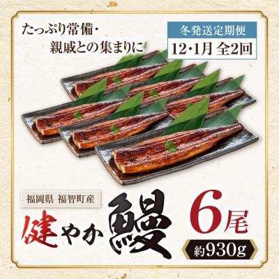 健やか鰻 国産うなぎ蒲焼 (無頭) 6尾 (計930g以上) ★定期便・冬発送★