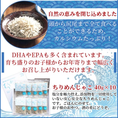 <無添加・天日干し　特上ちりめん 40g×10袋【ギフト箱入】>　じゃこ　魚　しらす　海鮮　海産