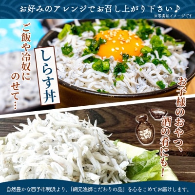 <無添加 釜揚げしらす 70g×5袋入【箱入】>　小分け　丼　シラス　魚　パスタ　グルメ　冷凍